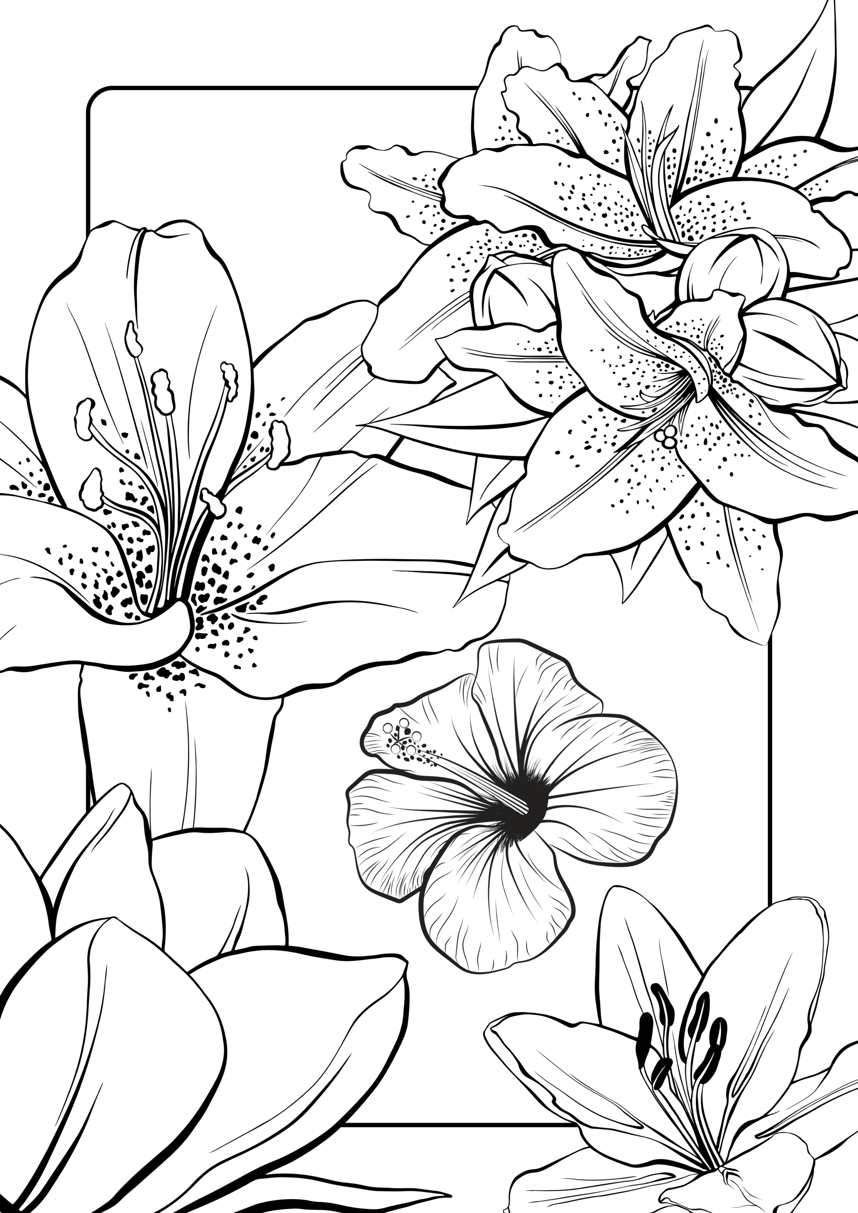 Lily and hibiscus floral line-art illustration from Colour Me Clear colouring book by Midrising