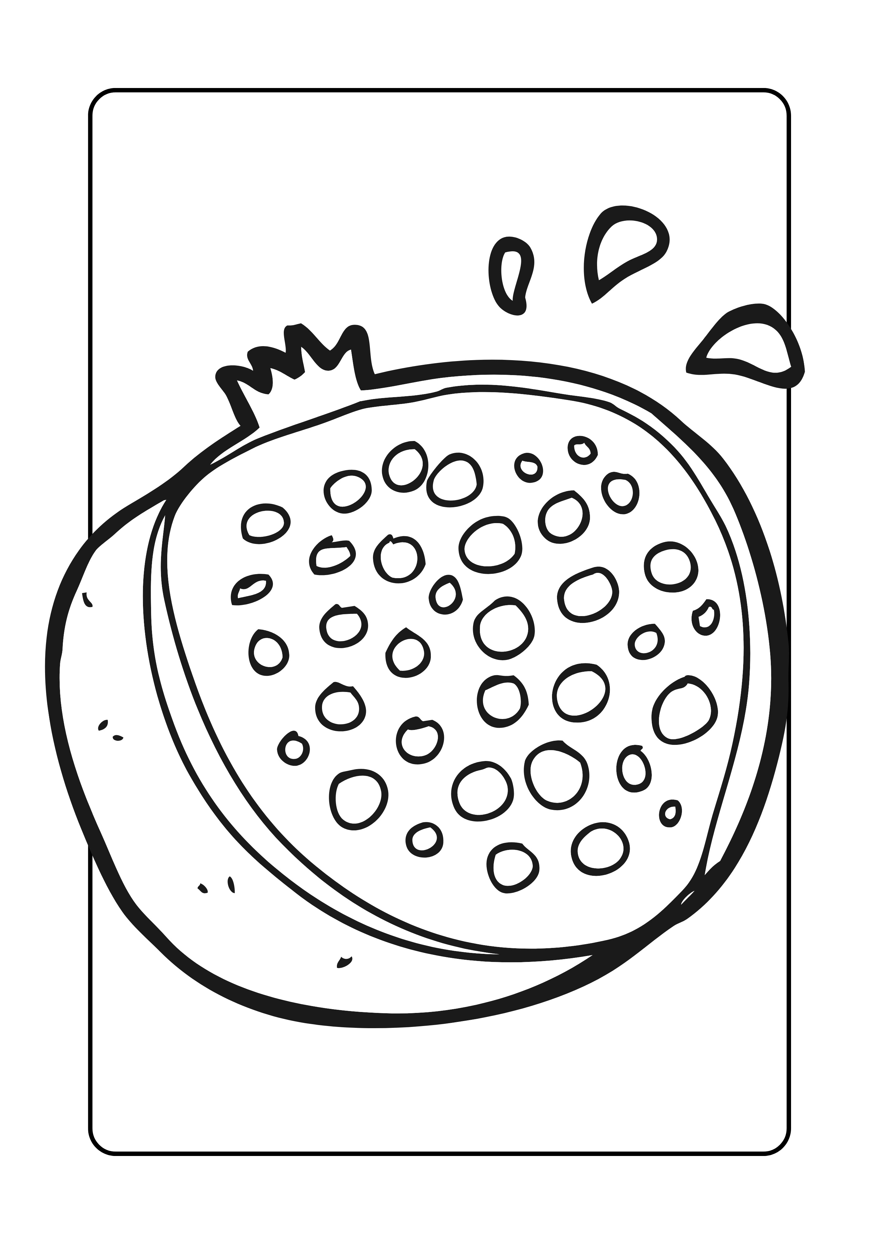 Passionfruit line-art illustration from Colour Me Steady colouring book by Midrising