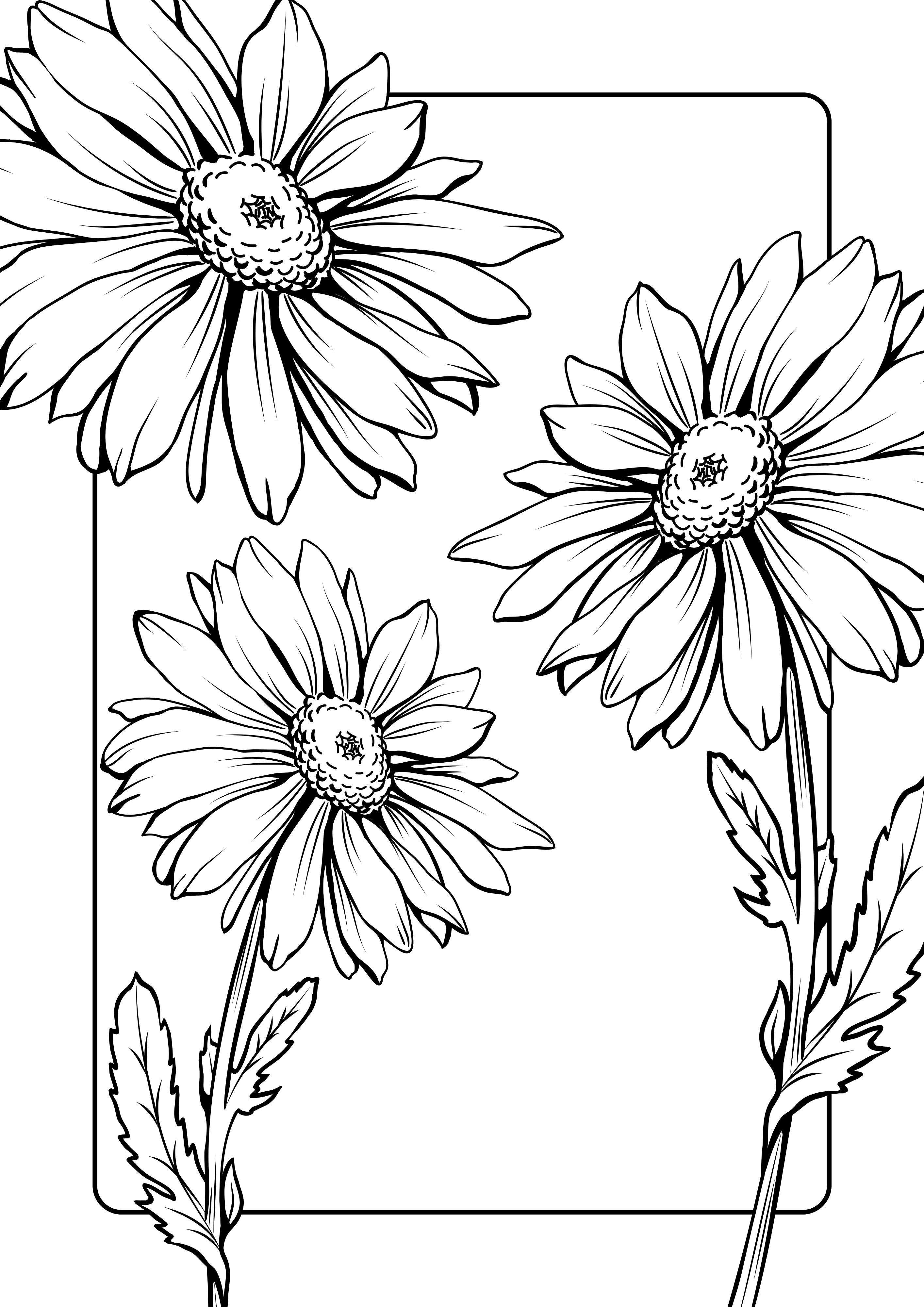 Daisy line-art illustration from Colour Me Clear colouring book by Midrising